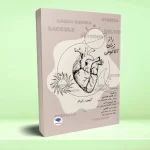 راز زبان آناتومی